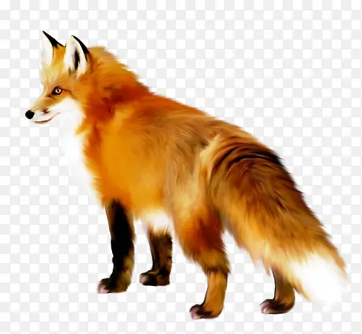 �ֻ��������ز�-������