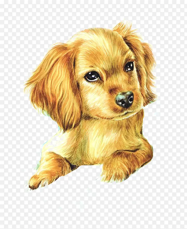 ˮ���ֻ涯���ز�-������