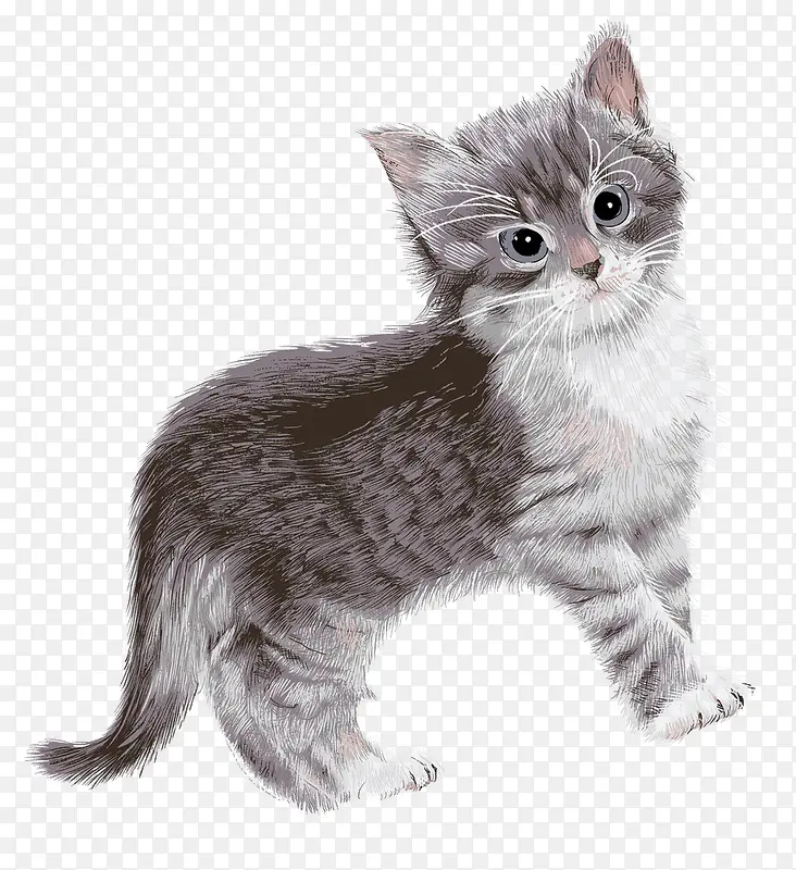 ˮ���ֻ涯���ز�-������