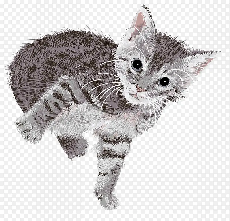 ˮ���ֻ涯���ز�-������