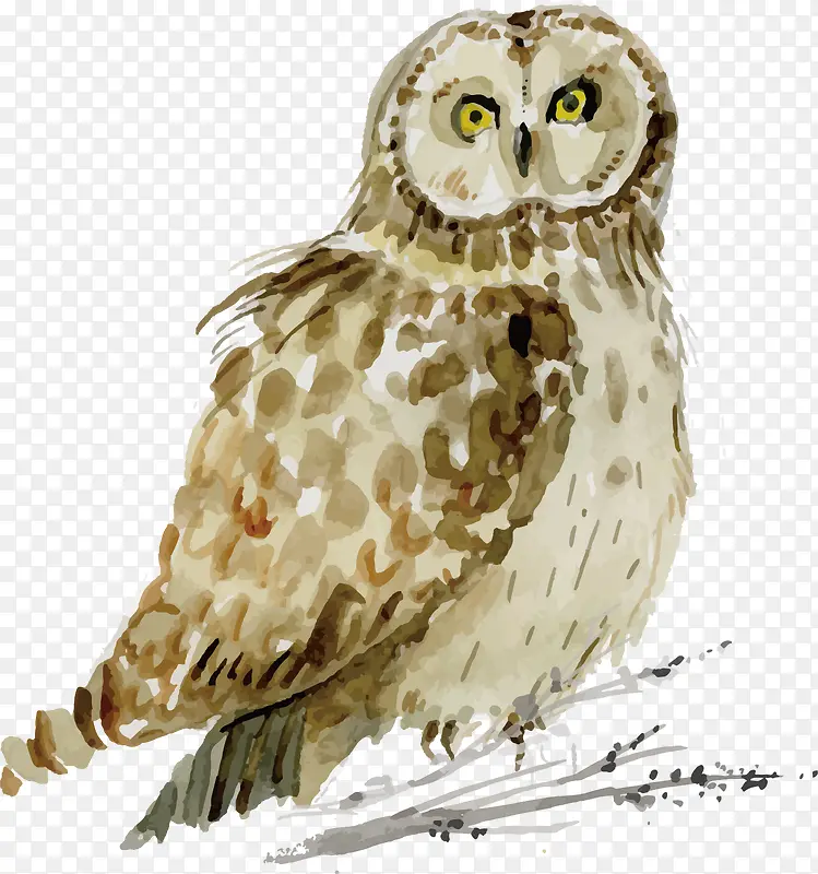 ˮ��èͷӥ���-������