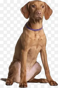 �ֻ涯�ﶯ��ͼ�� �� Ȯ-������