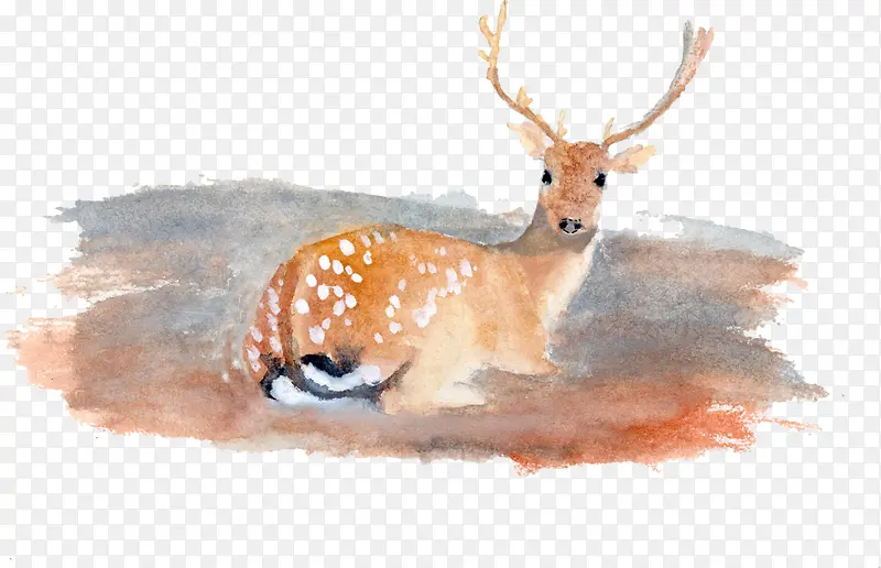 �����ز�-������