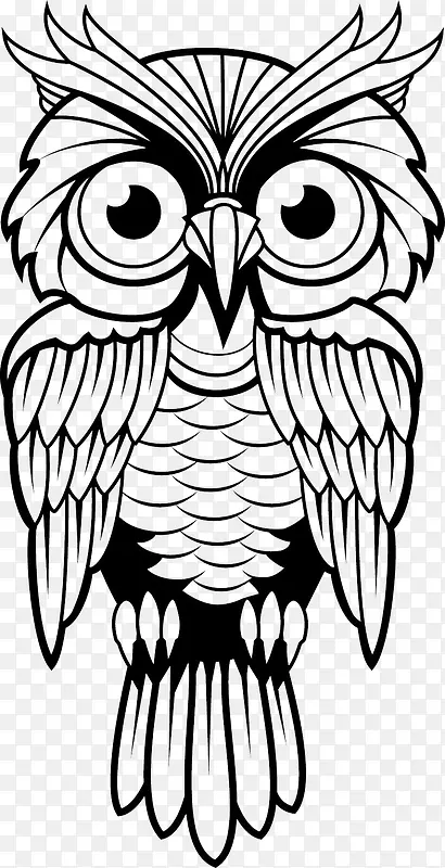 ��ͨèͷӥ�ز�-������