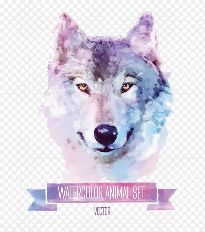 �ɰ���ˮ�ʶ���ʸ���ز�-������