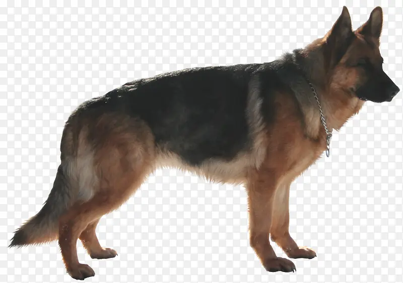 ��ͨ�زĶ����ز�-������