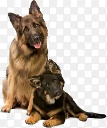 ���￨ͨ����-������