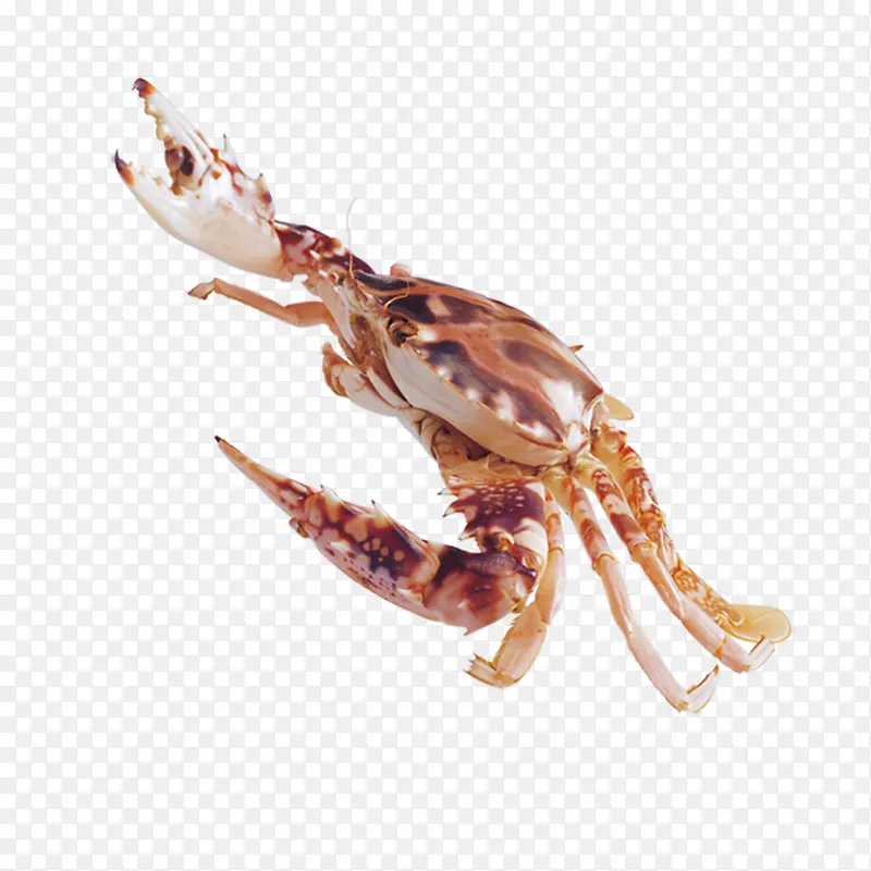 ��ͨ�з�ز�-������