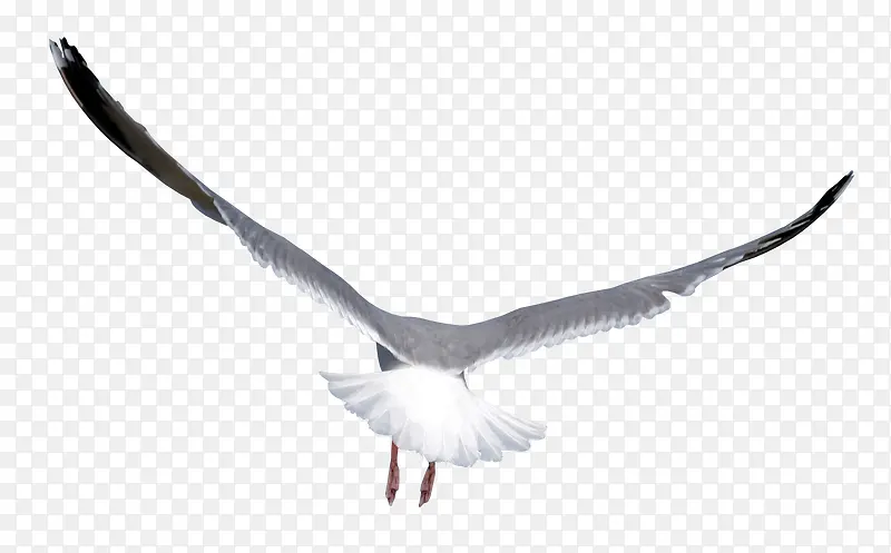 ��ͨ����Ԫ�ؿ�ͨ����-������