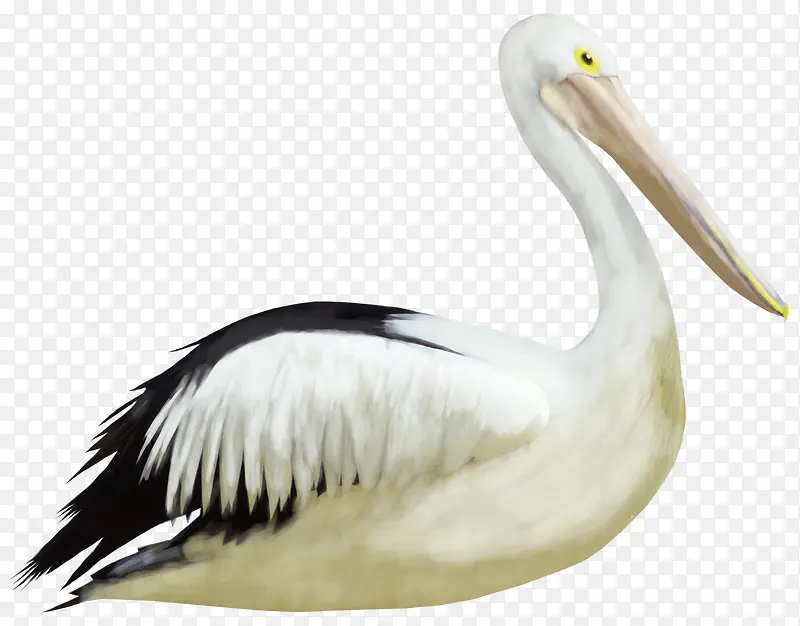 ��ͨ�����ز��ֻ涯���ز�-������