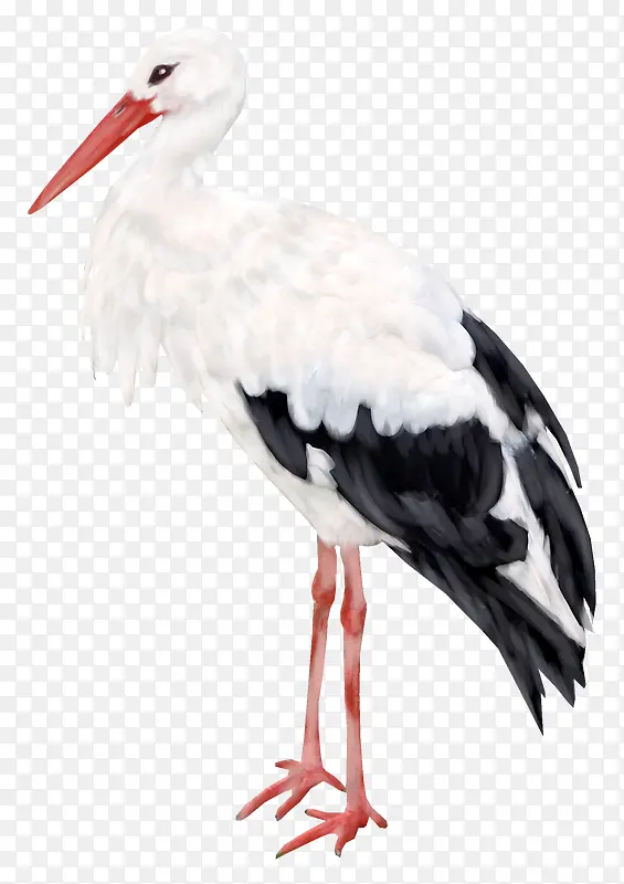 �����زĿ�ͨ����ͼƬ-������