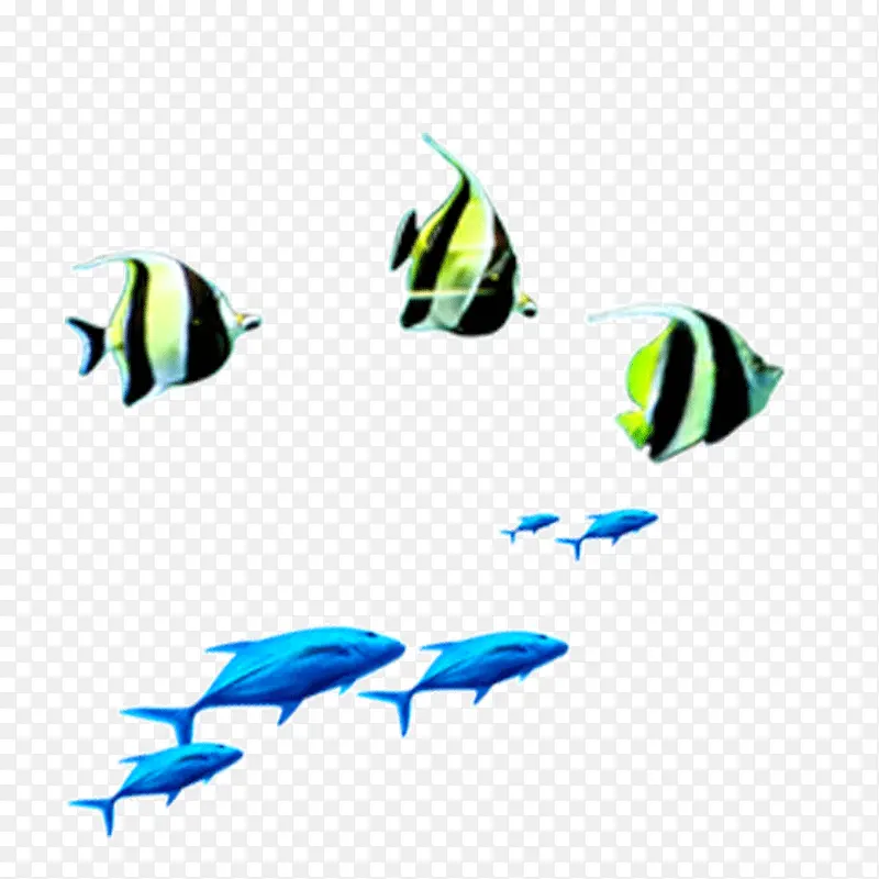 �����ز�-������