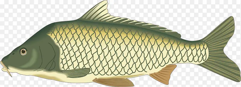 ��������ʸ���ز��������-������