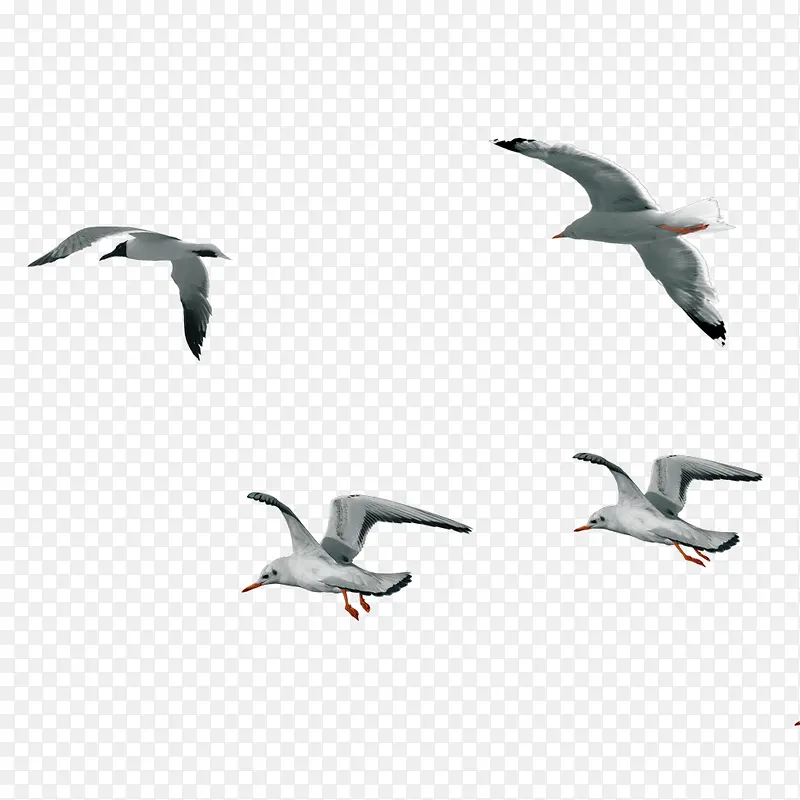 �����ز�-������