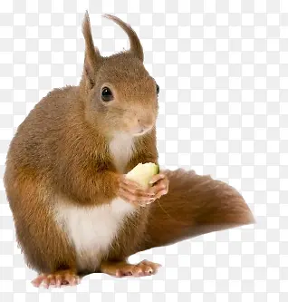 �ֻ�ͼƬ ����-������