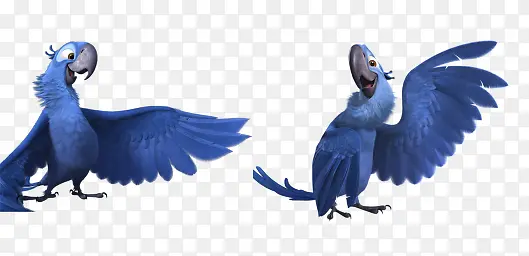 �����ز�-������