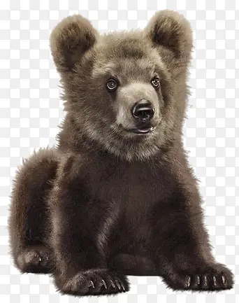 �ɰ���С���زĶ���-������