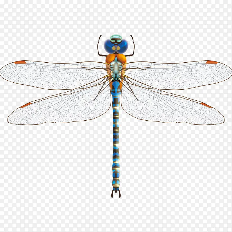 ʸ���ֻ�����-������