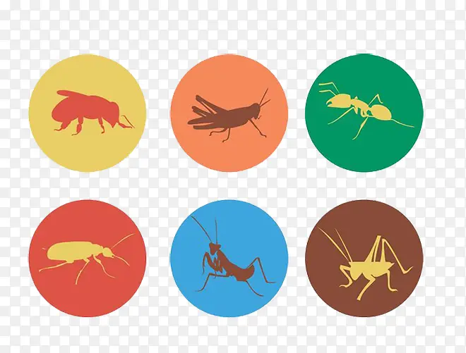 ����ͼ���ز�-������