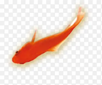 ��ɫ���زĶ���-������