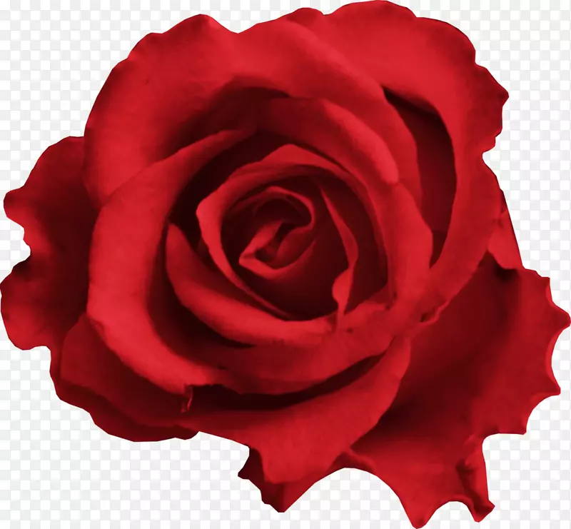 �����������Ӱ.Dussehra-������