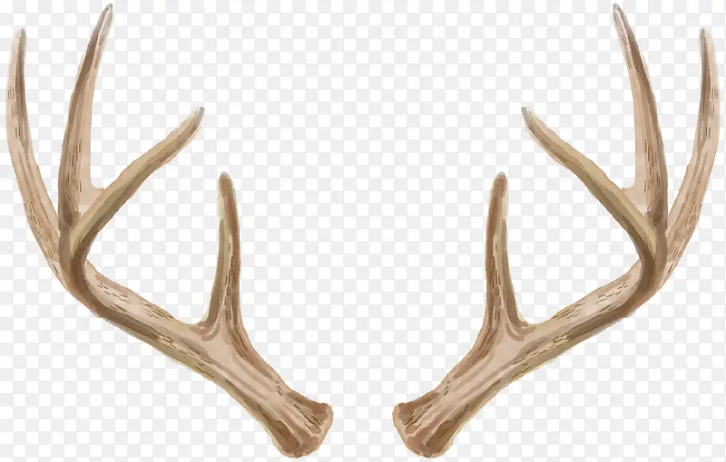 �ֻ�¹��-������