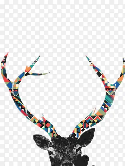 �����ɫ¹��-������