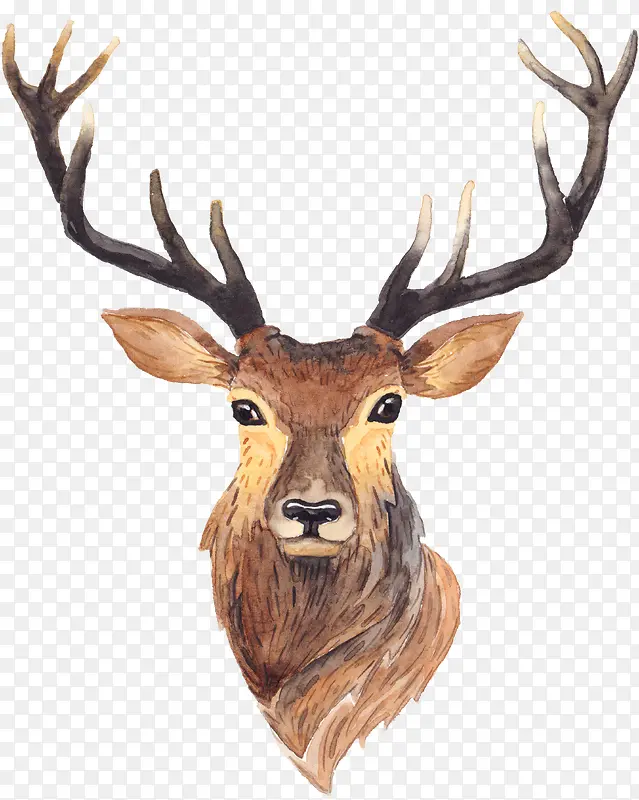 ��¹-������