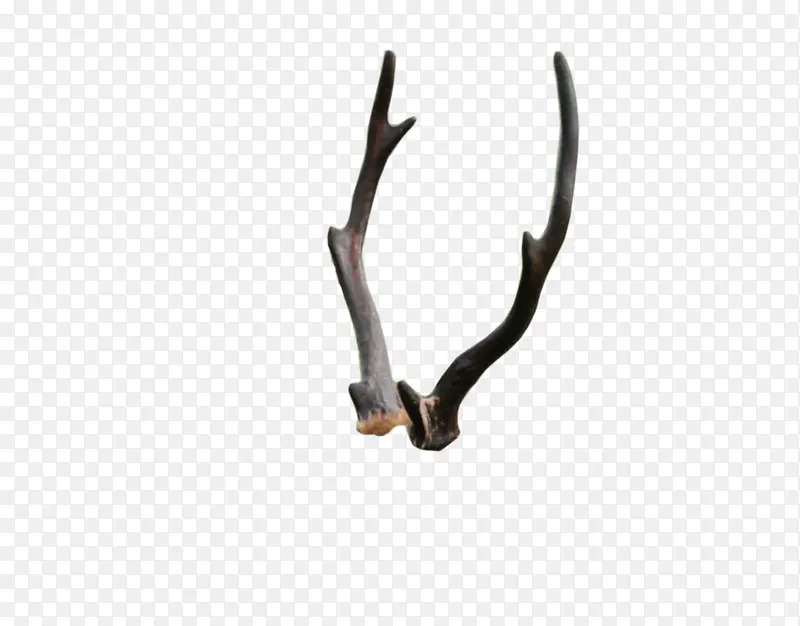 ¹�Ƕ����-������