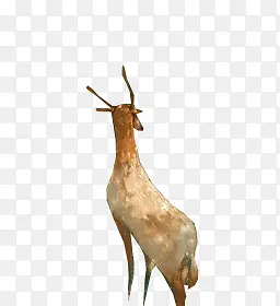 �ֻ��ɫˮ��÷��¹-������