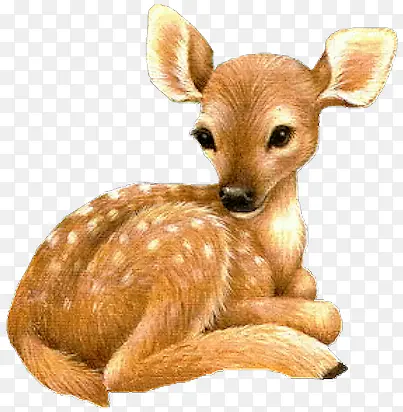 �ɰ�С÷��¹-������