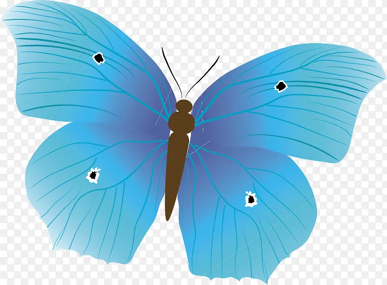 ��ɫ����-������