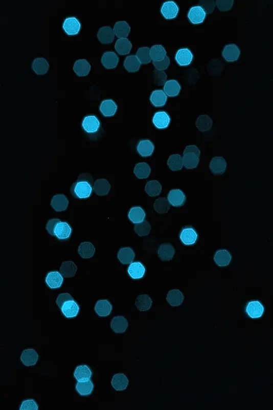 ��ɫ��㱳��-������