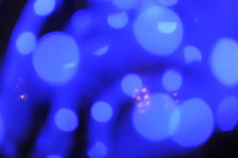 ��ɫ��㱳��-������