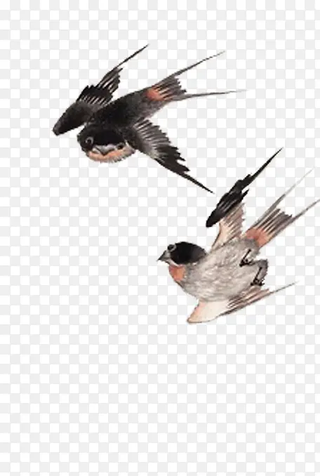 �ֻ�����-������