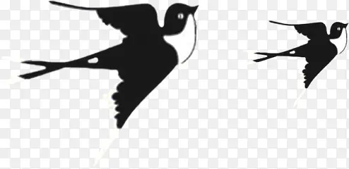 �ֻ��ɫ�ɰ�����-������