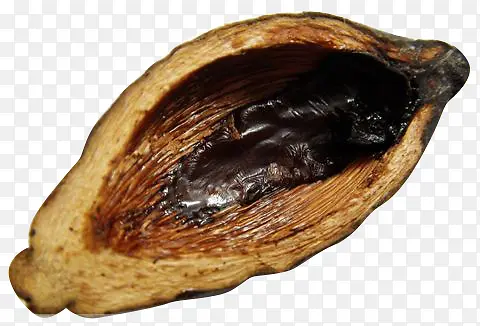 �������ز�-������