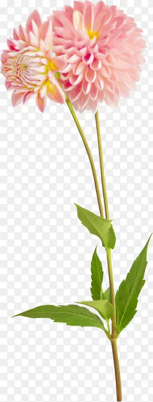 ��������زĻ��ݱ����ز�-������