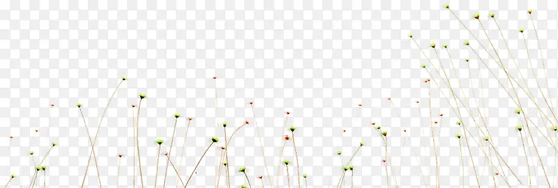 ֲ�ﱳ���ز�-������