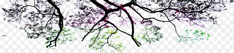 ���崴��ϳ�Ч��Ԫ����֦-������