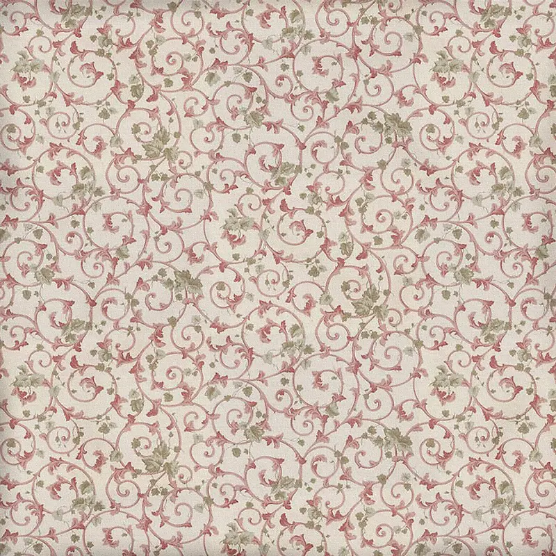 ��ɫ���Ʊ���-������