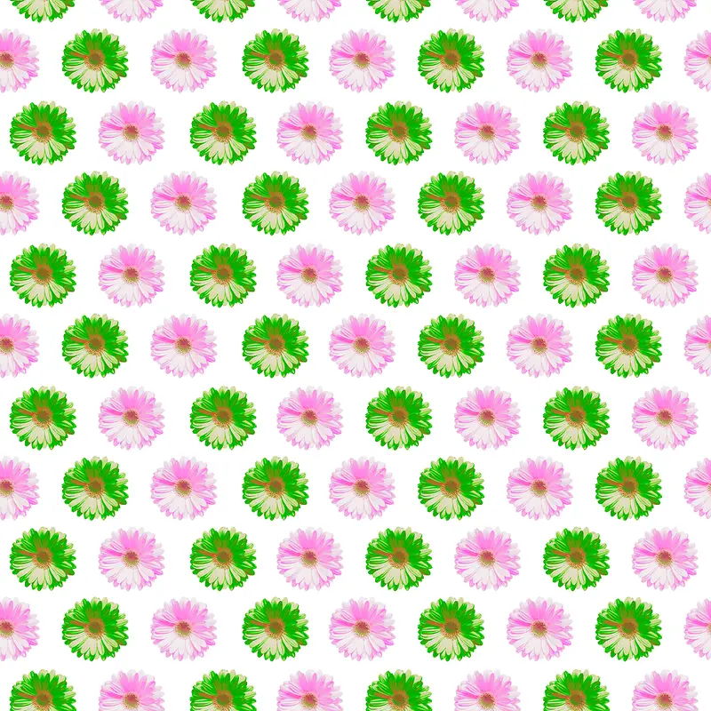 ��ɫ����-������