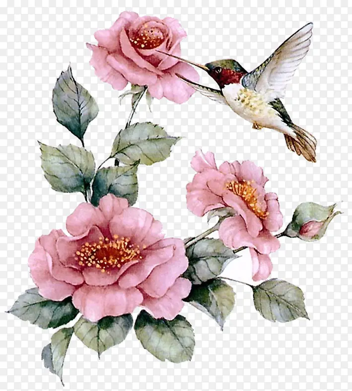 �ֻ��¼�������-������