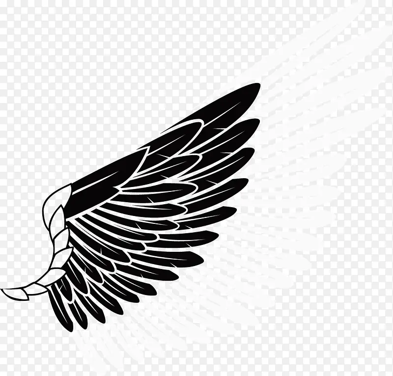 �ֻ��ɫ�����Ϧ���˽�-������