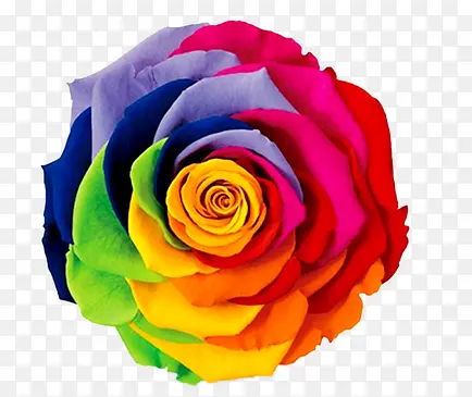 ��ɫõ�廨��Ϧ���˽�-������