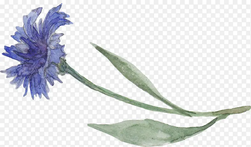 ��ɫˮ�ʻ���-������