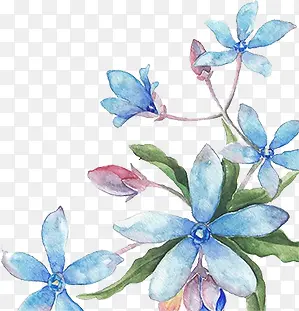 �廭Ч����ɫ����-������