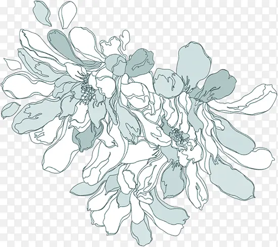 ��ɫˮ�ʻ���ֲ��-������