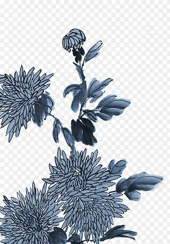 ��ɫ�ŵ�ˮ�ʻ���-������