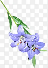 ��ɫ����ʱ�л���װ��-������